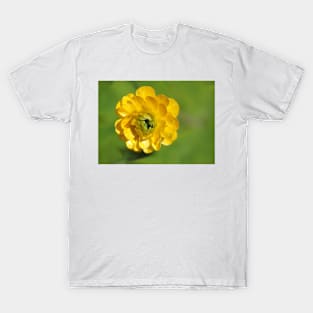 Sunny Summer Buttercup T-Shirt